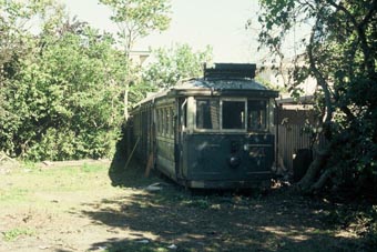 tram41-5